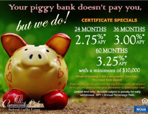 Red and yellow piggy bank sitting on ground with grass in background. Ad states "Your piggy bank doesn't pay you, but we do!" Certificate specials with a minimum of $10,000. Rate Guard applies.